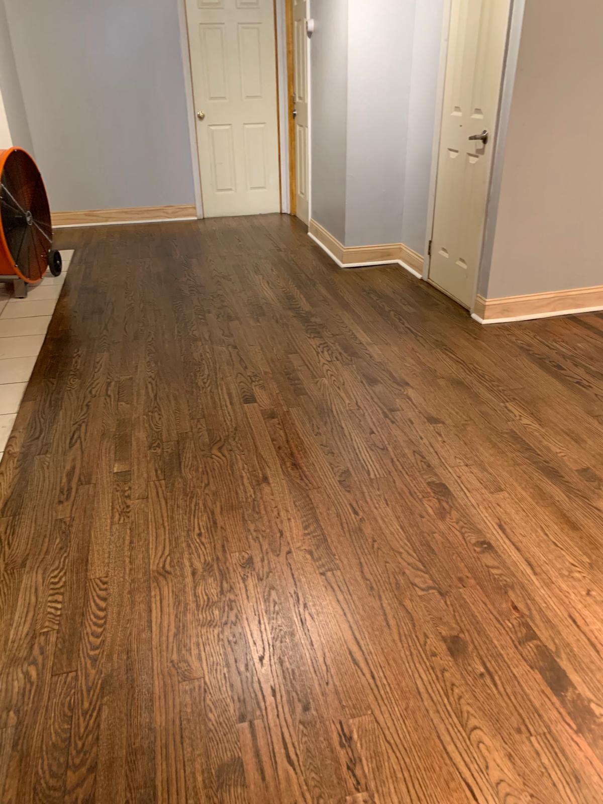 Proyecto de remodelación 44
